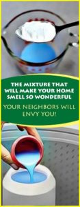 This Mixture That Will Make Your Home Smell So Wonderful… Your Neighbors Will Envy You
