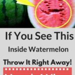 DO YOU LOVE WATERMELONS?? IF YOU SEE THIS SPLIT INSIDE WATERMELON THROW IT RIGHT AWAY!!! HERE’S WHY..